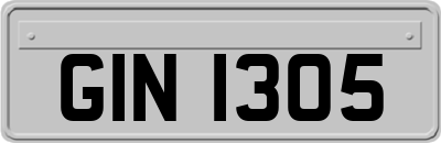 GIN1305
