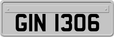 GIN1306