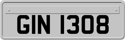 GIN1308