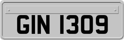 GIN1309