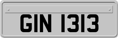 GIN1313