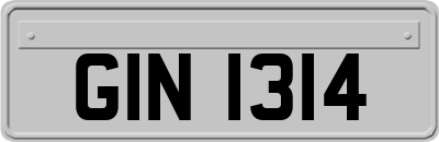 GIN1314