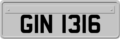GIN1316