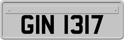 GIN1317