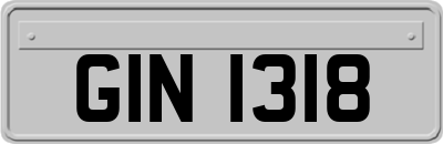 GIN1318