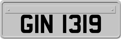 GIN1319