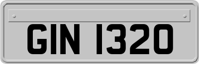 GIN1320