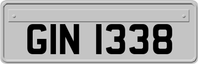GIN1338