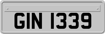 GIN1339