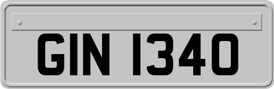 GIN1340