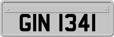 GIN1341