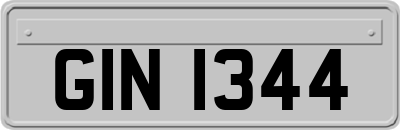 GIN1344