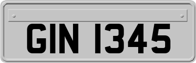 GIN1345
