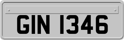 GIN1346