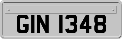 GIN1348