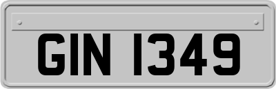 GIN1349