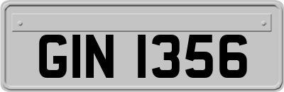 GIN1356