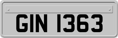 GIN1363