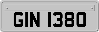 GIN1380