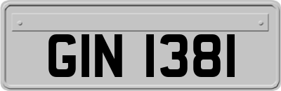 GIN1381