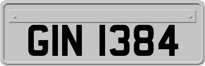 GIN1384