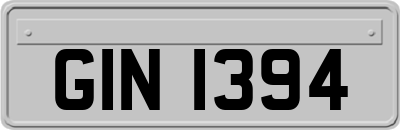 GIN1394