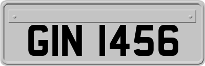 GIN1456