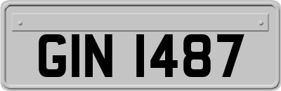 GIN1487