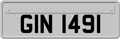 GIN1491