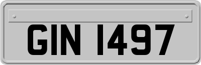GIN1497