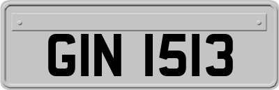 GIN1513