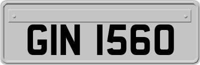 GIN1560