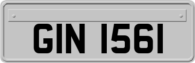 GIN1561