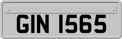 GIN1565