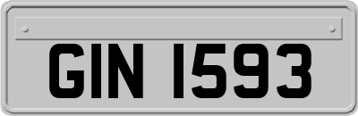 GIN1593