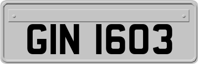 GIN1603