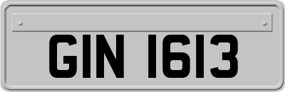 GIN1613