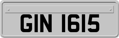 GIN1615