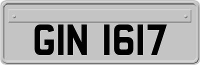 GIN1617