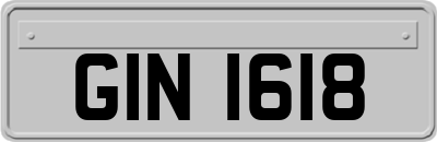 GIN1618