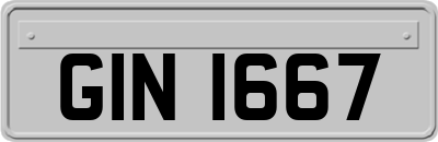 GIN1667