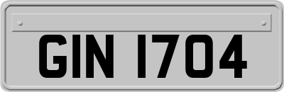 GIN1704