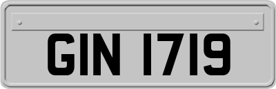 GIN1719