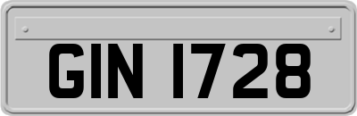 GIN1728