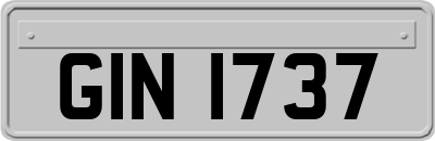 GIN1737
