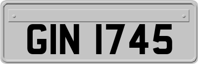 GIN1745