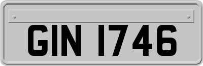 GIN1746