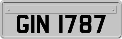 GIN1787