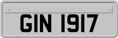 GIN1917