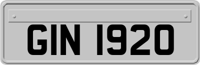 GIN1920